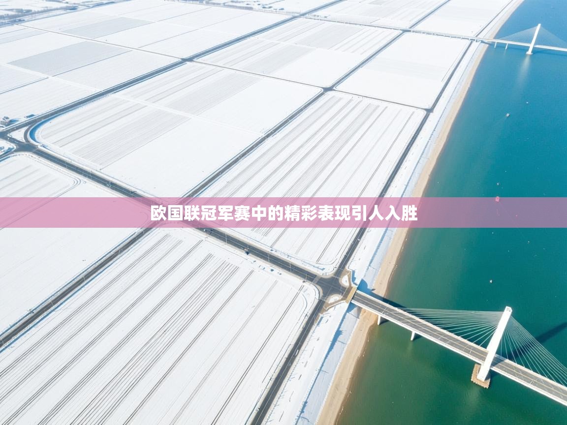 欧国联冠军赛中的精彩表现引人入胜